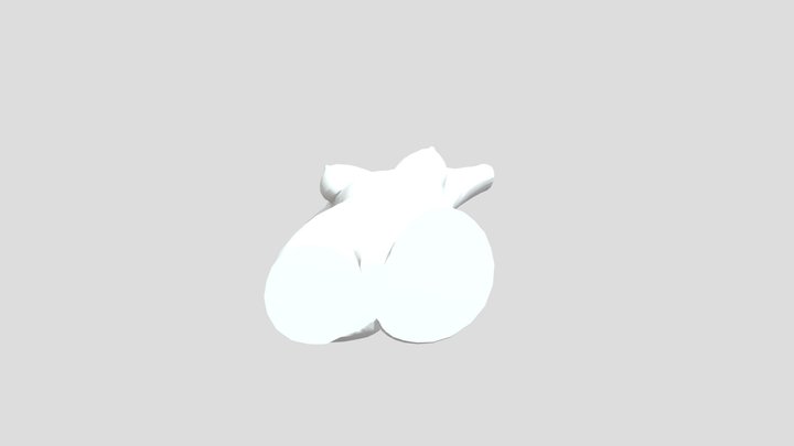 torso 3D Model