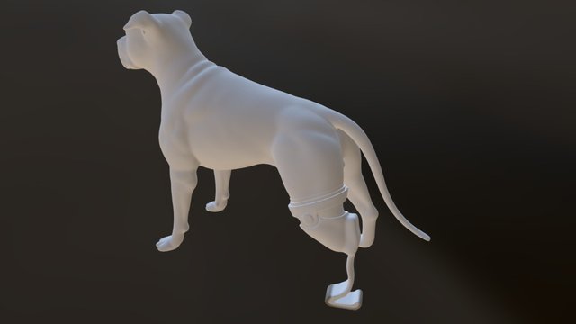 # 052 Back Leg Prosthetic Dog 3D Model