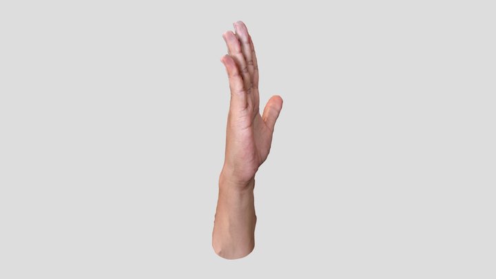 Untitled Scan 3D Model