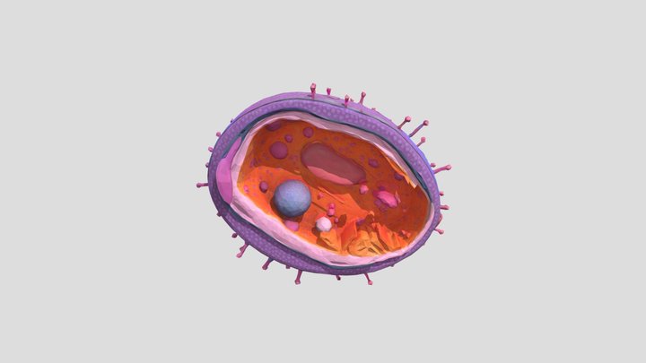 Una_celula 3D Model