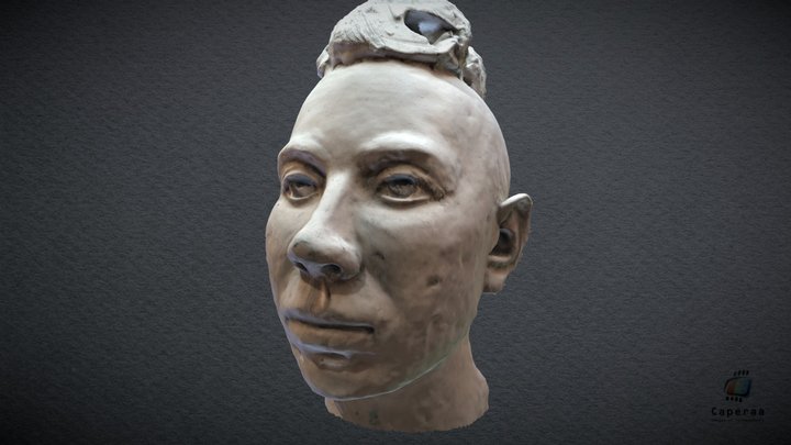 HOUPETTE 3D Model