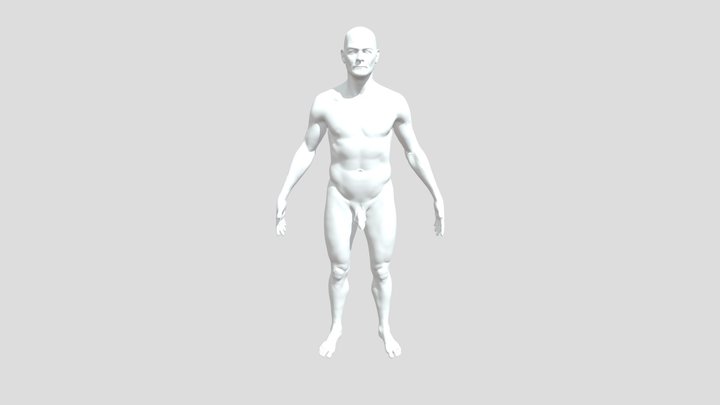 H Uman 3D Model