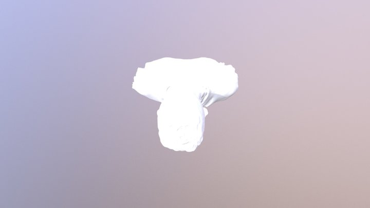 Niall 3D Model