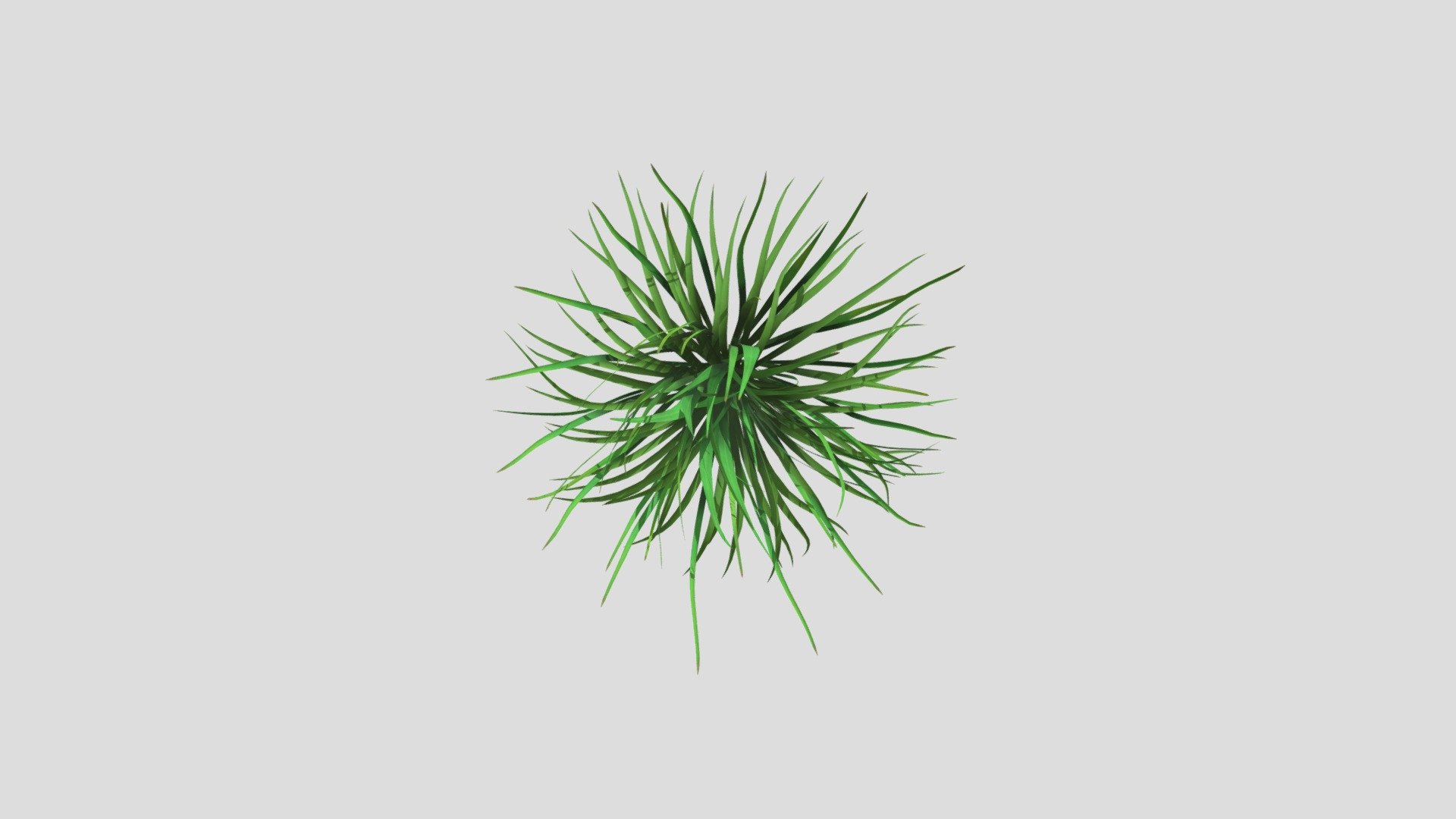 A hand full Of Grass
