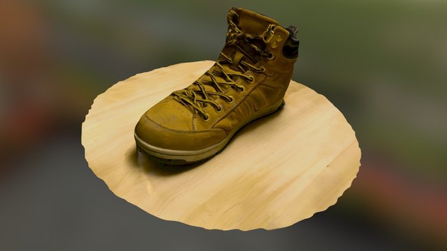 Shoe of the Night 3D Model