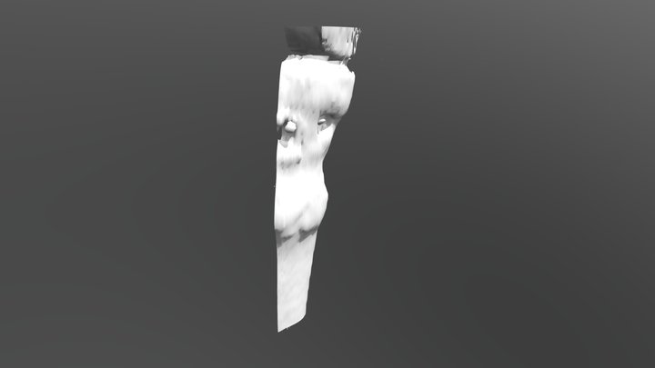 TIBIA MITAD 3D Model