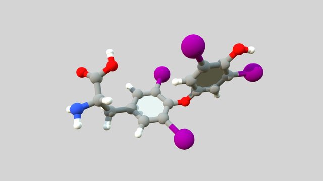 L- Thyroxin 3D Model