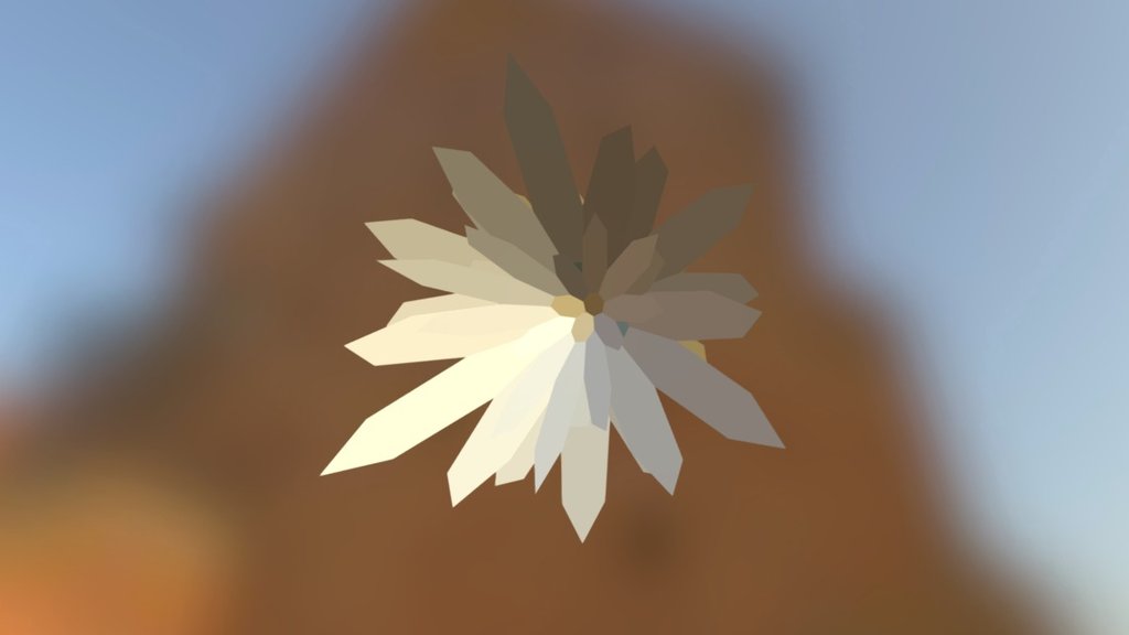 4x2 Heptagonal Daisy