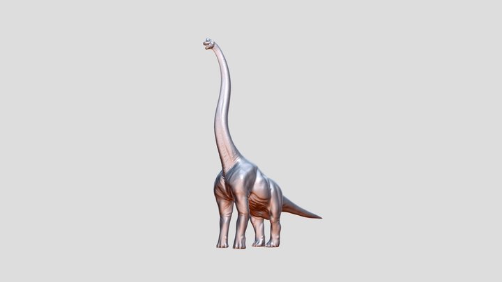 Brachiosaurus V1 3D Model