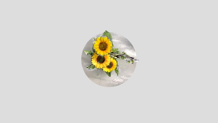 test sunflower 3D Model