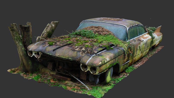 Garden Cadillac (Raw Scan) 3D Model