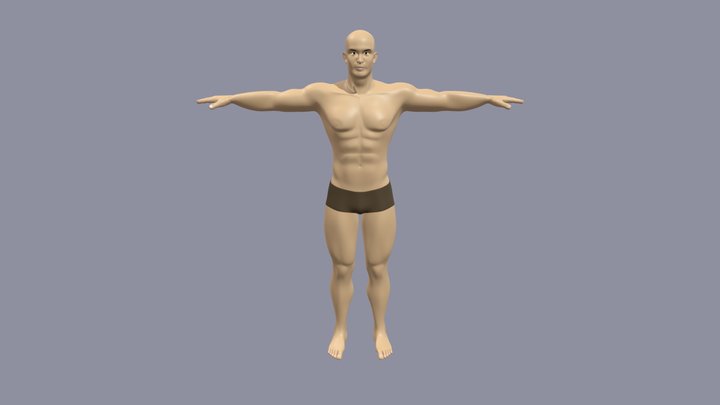 Strong-male-body-base-mesh 3D models - Sketchfab