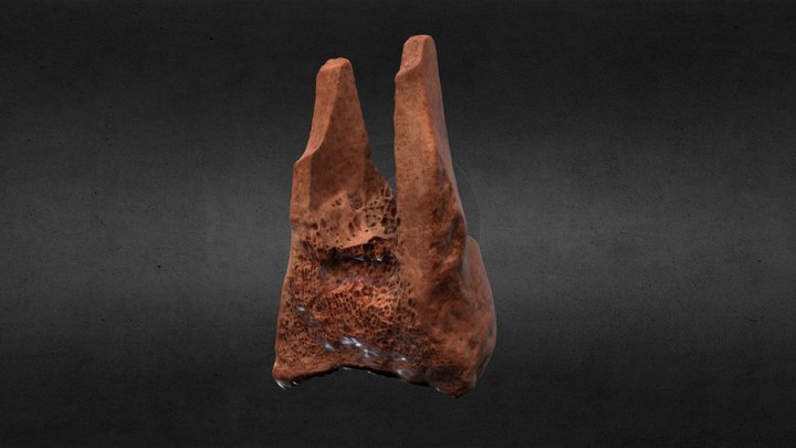 Mudejar Bone Tool 2 3D Model