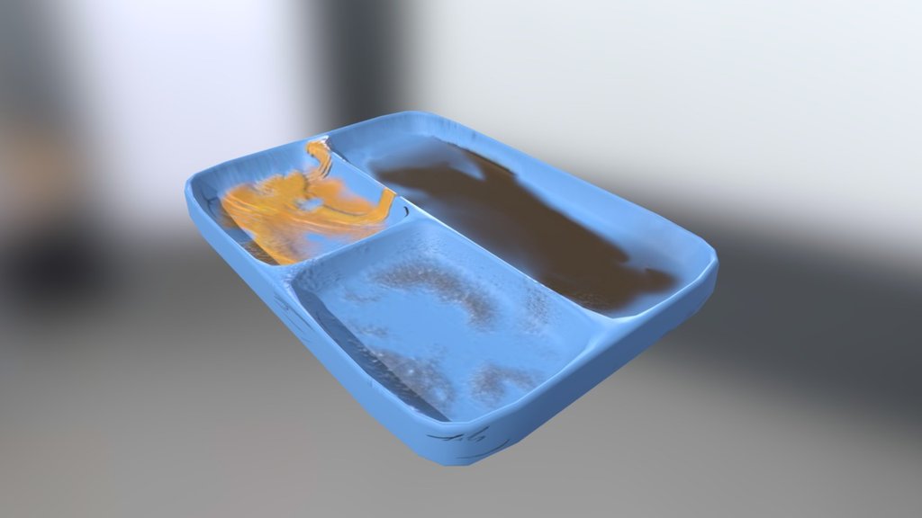 Dinner Tray