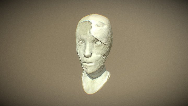 Proyecto de cabeza humana 3D Model