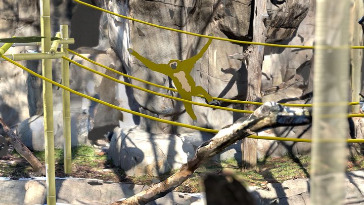 Gibbon_Exhibit_to_Final 3D Model
