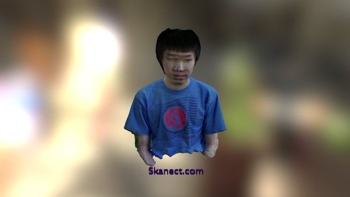 New Skanect Model 3D Model