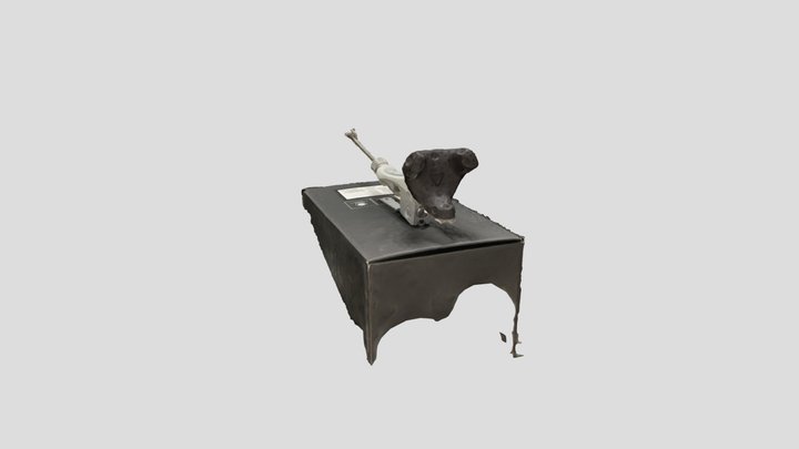 Scan 2023-02-21T01:04:32.161Z 3D Model