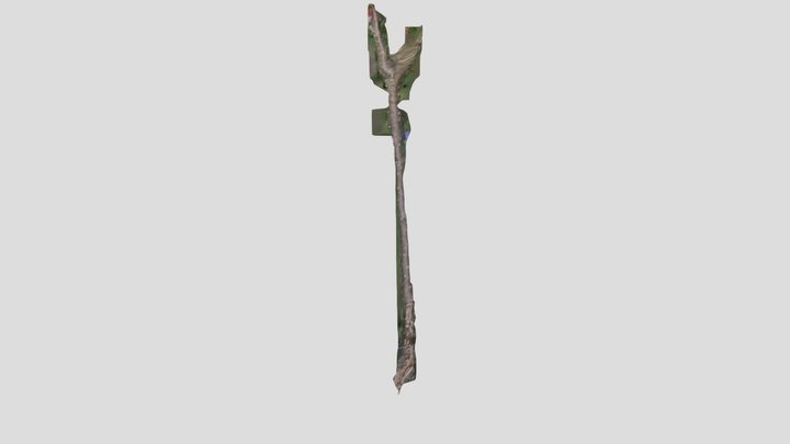 Prunus 3D Model