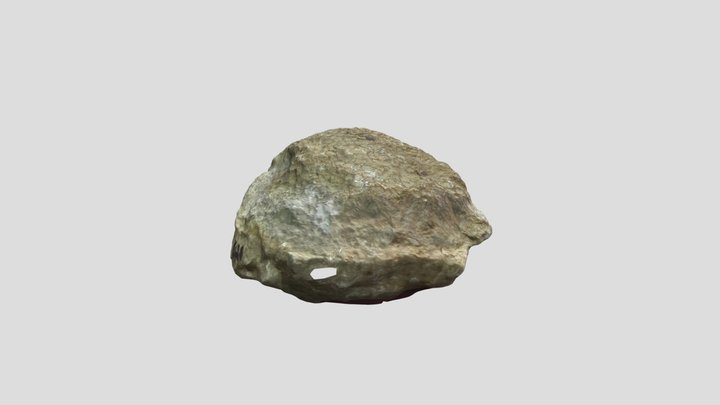 Halysite coral fossil, Läänemaa, Estonia 3D Model