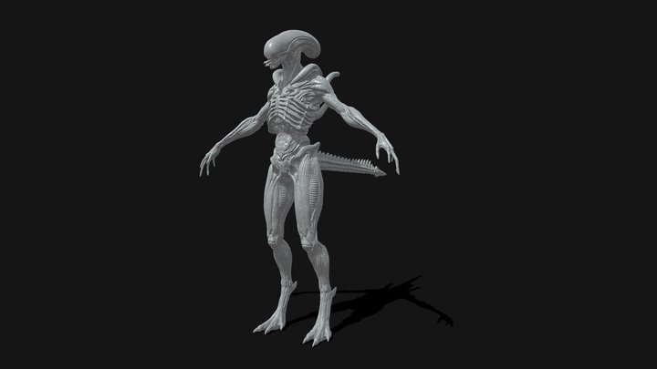 Alien HighPoly Model Preview 3D Model