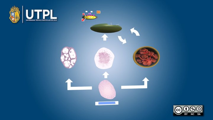 Plastos – Modello 3D gratuito STL