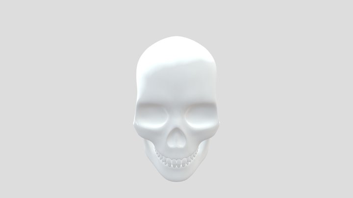 Skull 3D Model