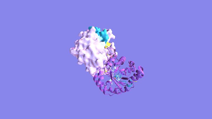 P. falciparum's, Triose Phosphate Isomerase. 3D Model