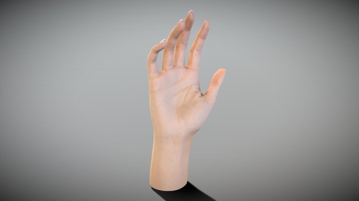Female hand 3D Model