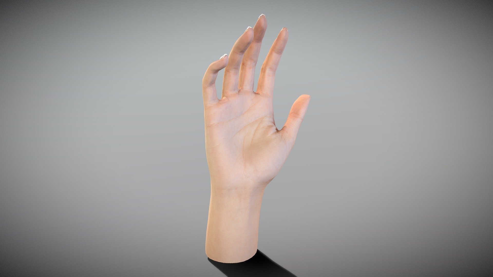 Female hand - Download Free 3D model by deep3dstudio [3e9b8ad] - Sketchfab
