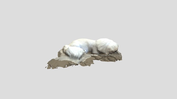 Textured_mesh_medpoly_obj 3D Model