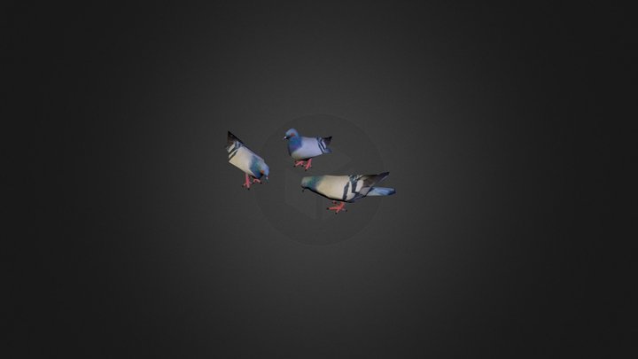 lowpoly_prop_birds 3D Model