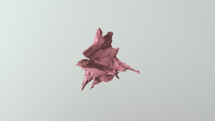 frustration 3D Model