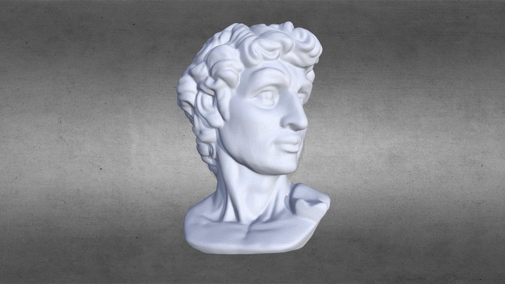 Голова 3D Model