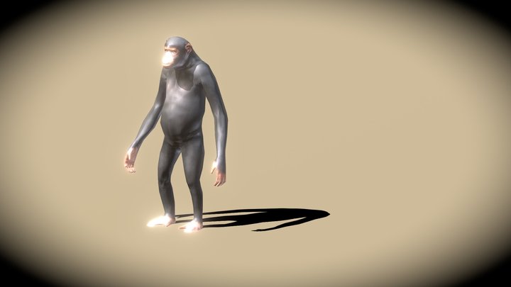 Realistic chimpanzee 3D Model