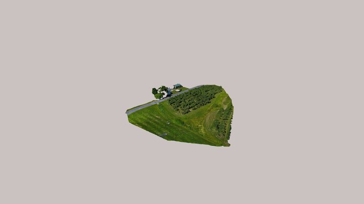Boyer Orchard Area 2 3D Model