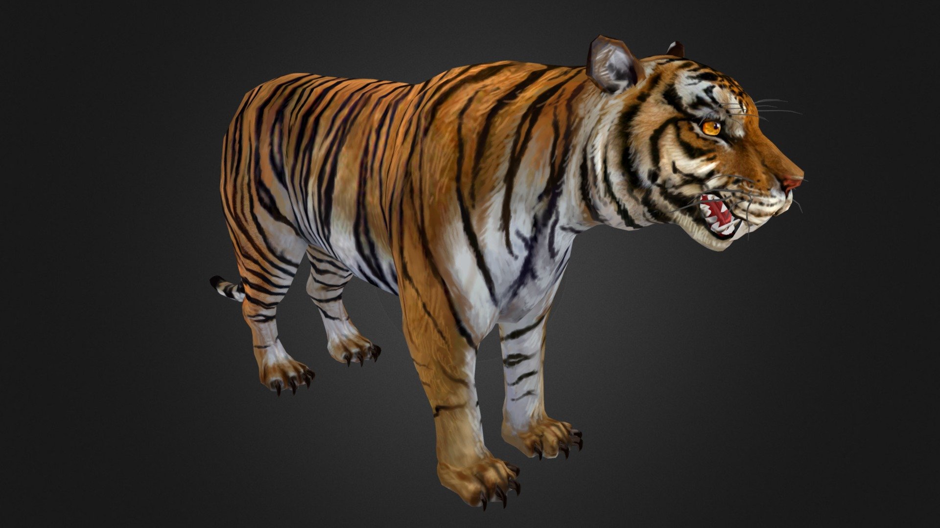 Tiger - 3D model by lydiaqx [3eac8fb] - Sketchfab