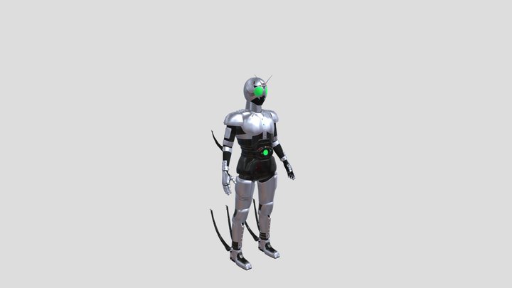 Shadow Moon Character from Kamen Rider Black 3D Model