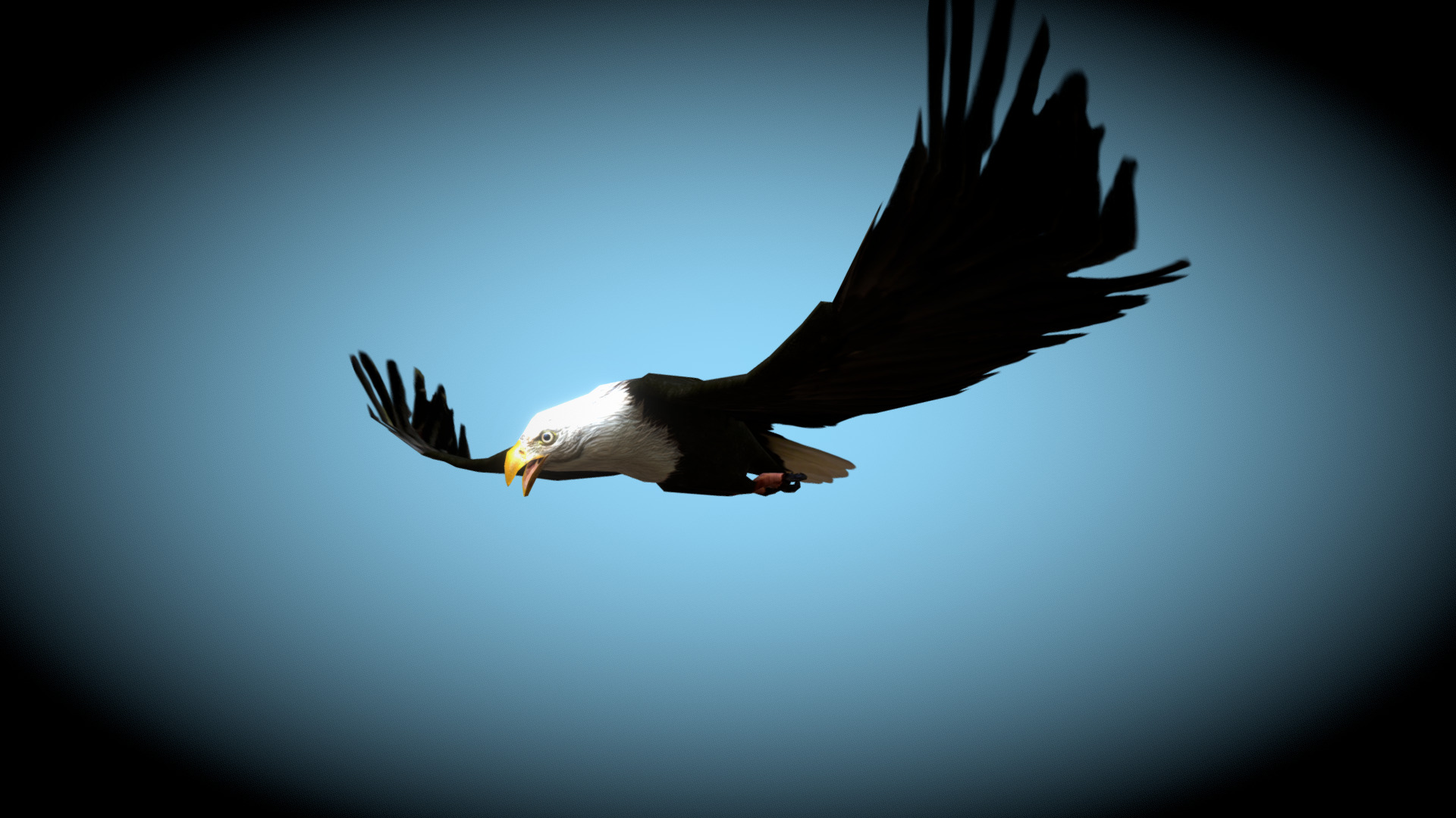 3D model Nemoriko´s : Bald Eagle - This is a 3D model of the Nemoriko´s : Bald Eagle. The 3D model is about a bird flying in the sky.