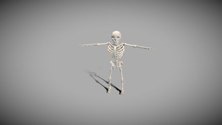 skeleton low-poly game ready 3D Model