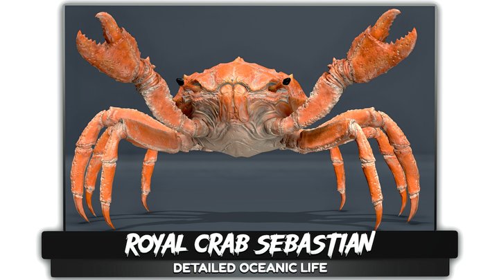 Royal Crab - King Sebastian Land Creature - #18 3D Model