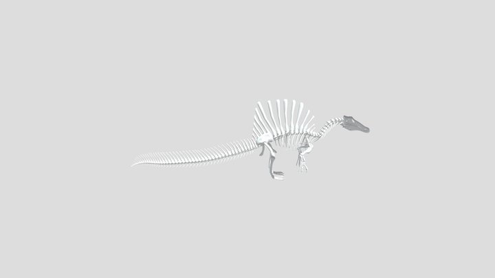 Spinosaurus Skeleton 3D Model