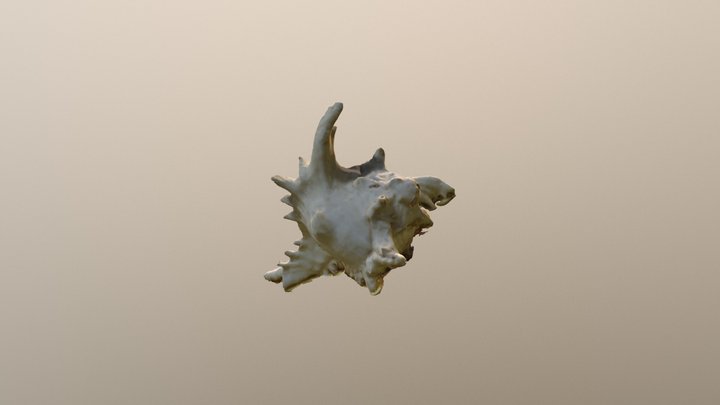 Shell One Nostalgia 3D Model