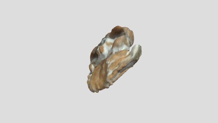 Test Model 3 3D Model