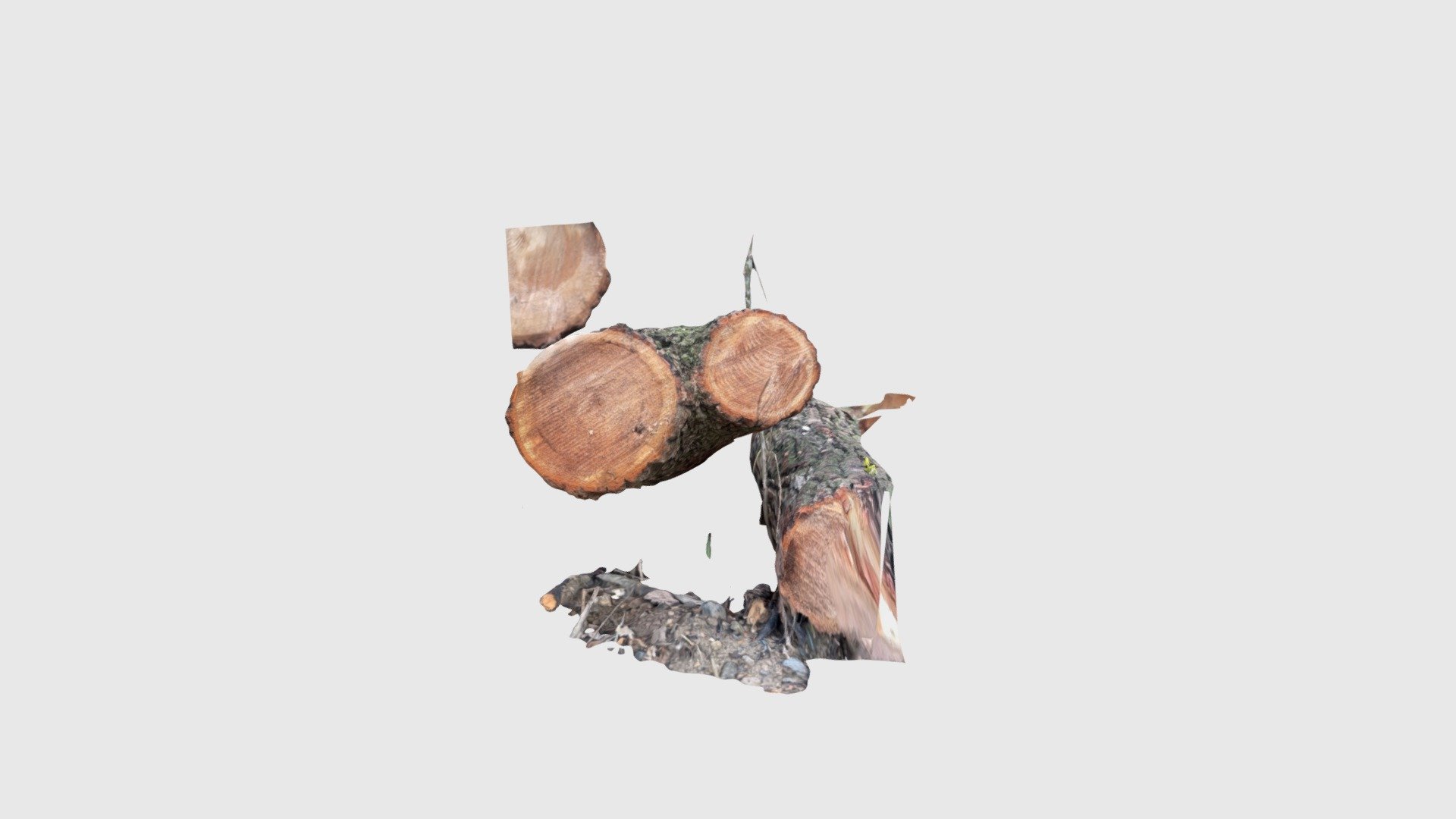 Wood Rings 2 - Download Free 3D model by ClaasKuhnen [3eb6ce9] - Sketchfab