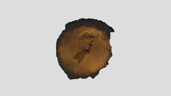 тигренок 3D Model