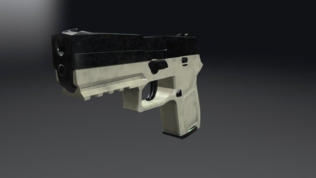 P250 - Worn 3D Model