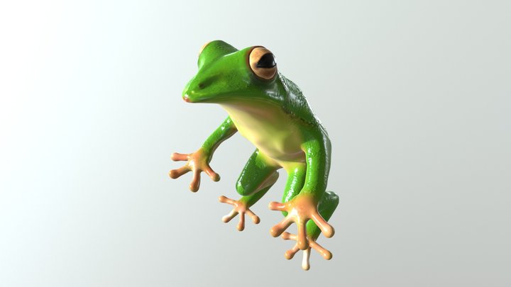 青蛙 3D Model