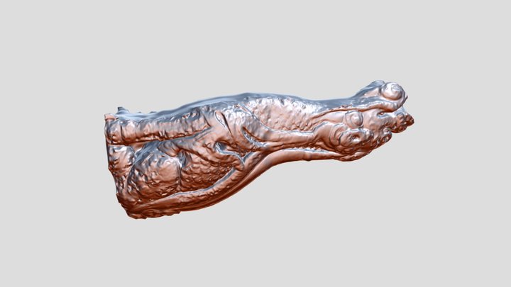 Rough Kirin Scan 3D Model