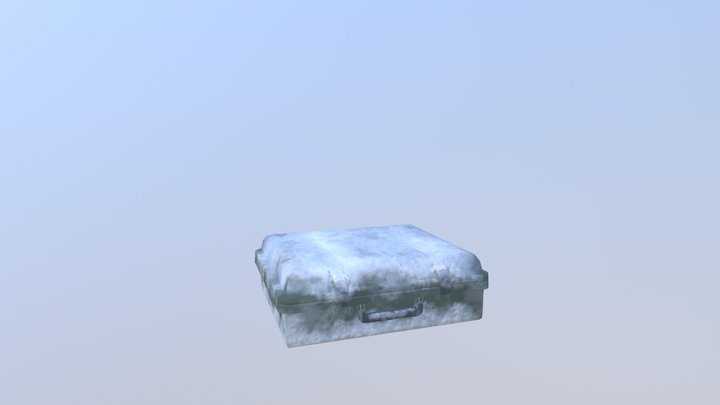 Snowy Storm Case (Closed) 3D Model